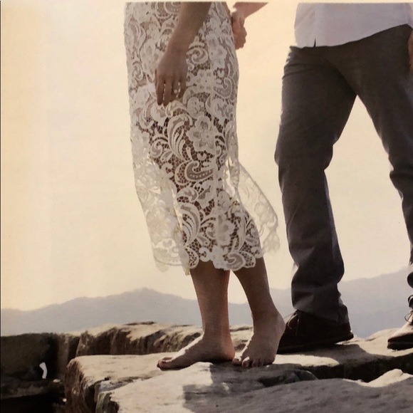 Dress the Population Lace Sheath Dress - Picture 2 of 5